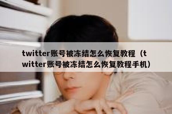 twitter账号被冻结怎么恢复教程（twitter账号被冻结怎么恢复教程手机） 第1张