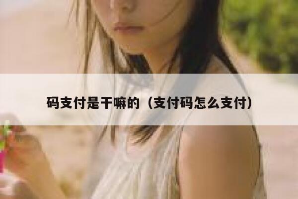 码支付是干嘛的（支付码怎么支付） 第1张