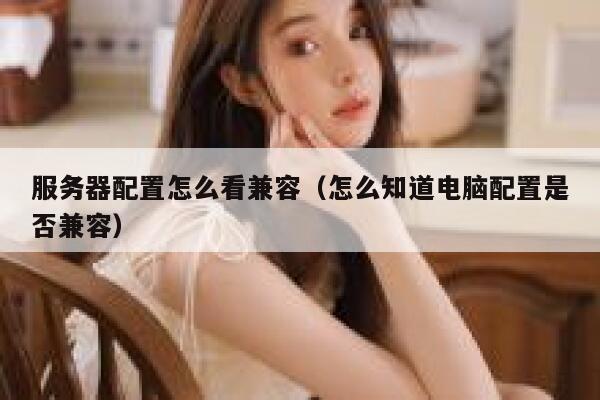 服务器配置怎么看兼容（怎么知道电脑配置是否兼容） 第1张