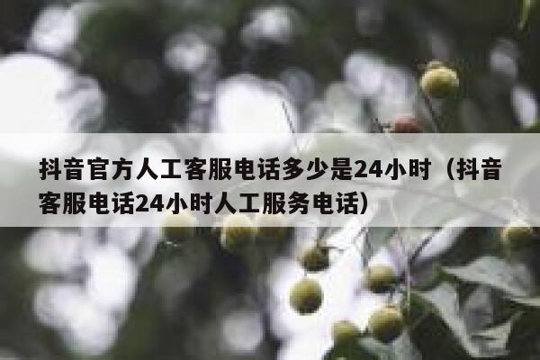 抖音官方人工客服电话多少是24小时（抖音客服电话24小时人工服务电话） 第1张