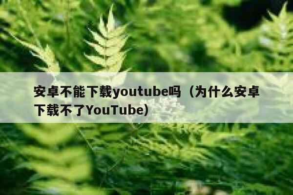 安卓不能下载youtube吗（为什么安卓下载不了YouTube） 第1张
