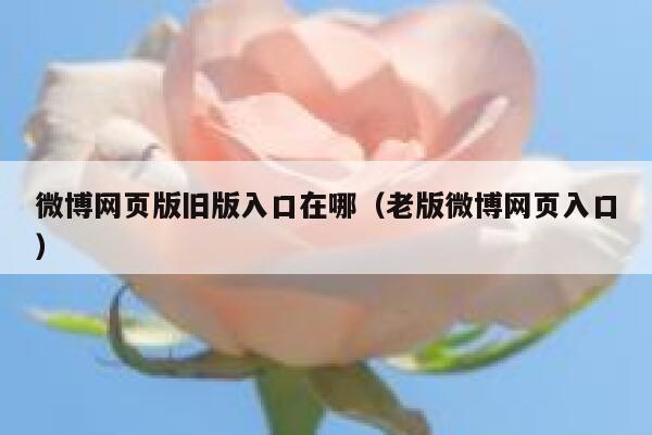 微博网页版旧版入口在哪（老版微博网页入口） 第1张