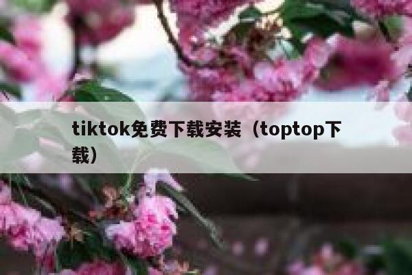 tiktok免费下载安装（toptop下载） 第1张