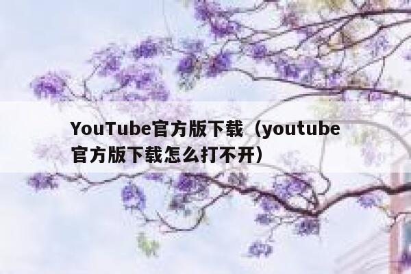 YouTube官方版下载（youtube官方版下载怎么打不开） 第1张