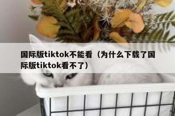 国际版tiktok不能看（为什么下载了国际版tiktok看不了） 第1张