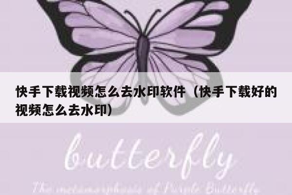 快手下载视频怎么去水印软件（快手下载好的视频怎么去水印） 第1张