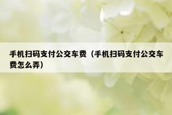 手机扫码支付公交车费（手机扫码支付公交车费怎么弄） 第1张