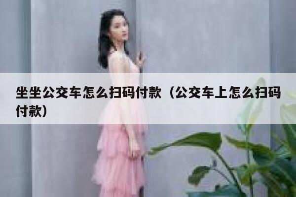坐坐公交车怎么扫码付款（公交车上怎么扫码付款） 第1张