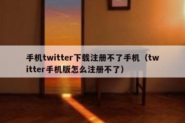 手机twitter下载注册不了手机（twitter手机版怎么注册不了） 第1张