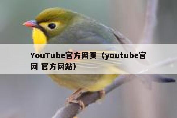 YouTube官方网页（youtube官网 官方网站） 第1张