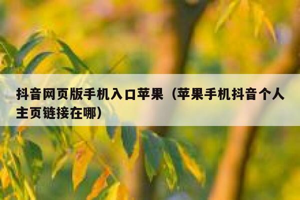 抖音网页版手机入口苹果（苹果手机抖音个人主页链接在哪） 第1张