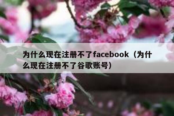 为什么现在注册不了facebook（为什么现在注册不了谷歌账号） 第1张