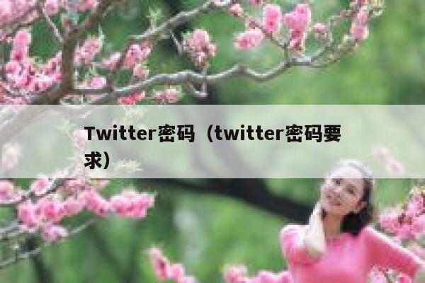 Twitter密码（twitter密码要求） 第1张