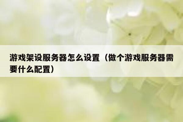 游戏架设服务器怎么设置（做个游戏服务器需要什么配置） 第1张