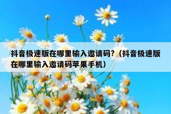 抖音极速版在哪里输入邀请码?（抖音极速版在哪里输入邀请码苹果手机） 第1张