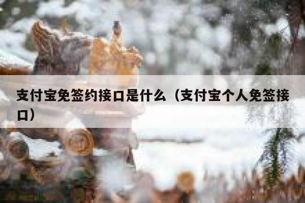 支付宝免签约接口是什么（支付宝个人免签接口） 第1张