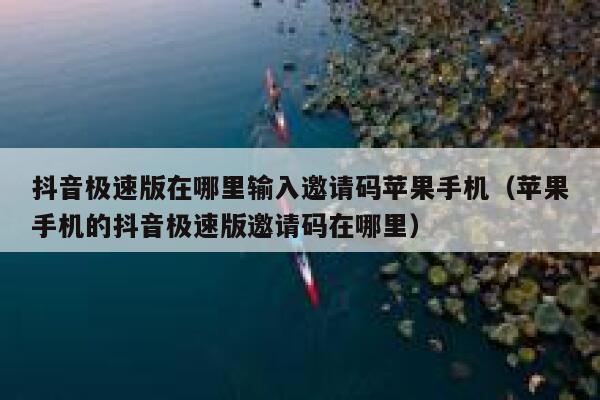 抖音极速版在哪里输入邀请码苹果手机（苹果手机的抖音极速版邀请码在哪里） 第1张