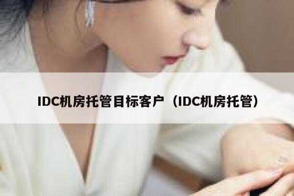 IDC机房托管目标客户（IDC机房托管） 第1张