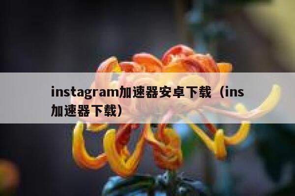 instagram加速器安卓下载（ins加速器下载） 第1张