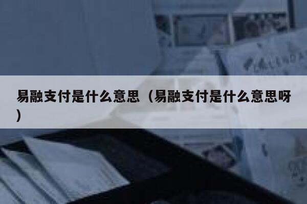 易融支付是什么意思（易融支付是什么意思呀） 第1张