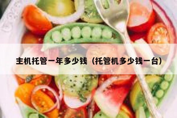 主机托管一年多少钱（托管机多少钱一台） 第1张