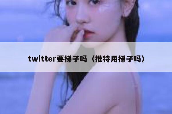 twitter要梯子吗（推特用梯子吗） 第1张