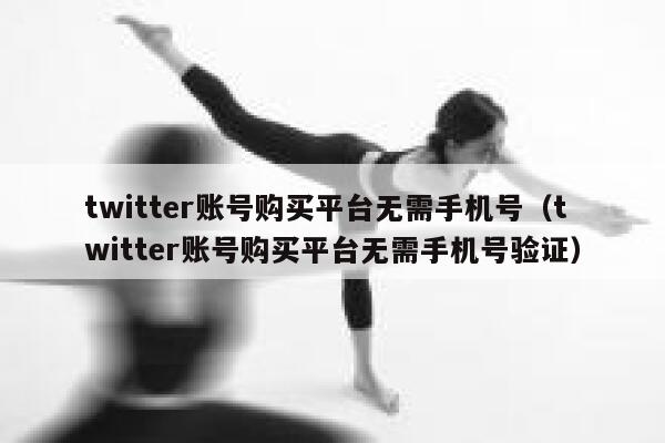 twitter账号购买平台无需手机号（twitter账号购买平台无需手机号验证） 第1张