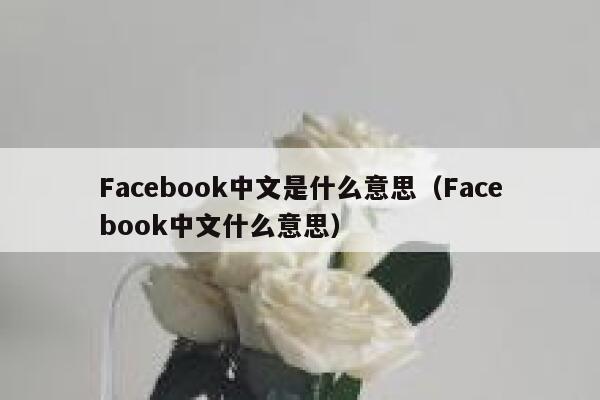 Facebook中文是什么意思（Facebook中文什么意思） 第1张