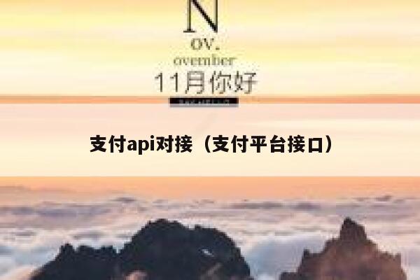 支付api对接（支付平台接口） 第1张
