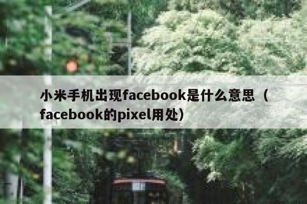 小米手机出现facebook是什么意思（facebook的pixel用处） 第1张