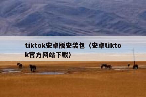 tiktok安卓版安装包（安卓tiktok官方网站下载） 第1张