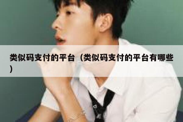 类似码支付的平台（类似码支付的平台有哪些） 第1张