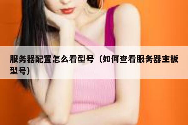 服务器配置怎么看型号（如何查看服务器主板型号） 第1张