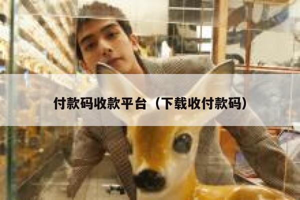 付款码收款平台（下载收付款码） 第1张