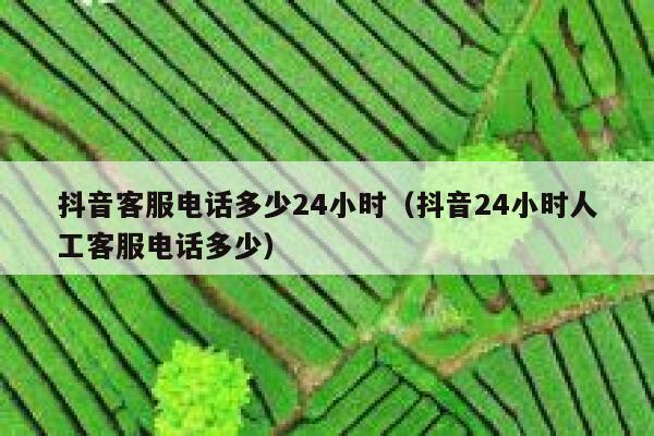 抖音客服电话多少24小时（抖音24小时人工客服电话多少） 第1张