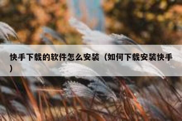 快手下载的软件怎么安装（如何下载安装快手） 第1张