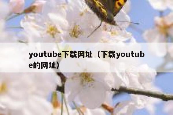 youtube下载网址（下载youtube的网址） 第1张