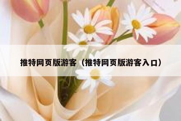 推特网页版游客（推特网页版游客入口） 第1张