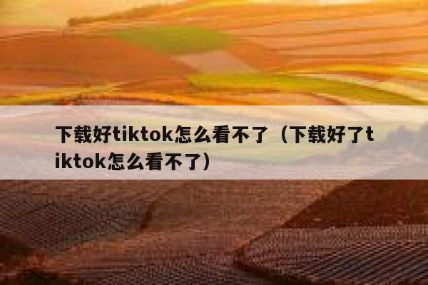 下载好tiktok怎么看不了（下载好了tiktok怎么看不了） 第1张
