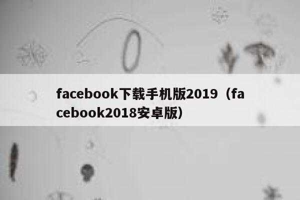 facebook下载手机版2019（facebook2018安卓版） 第1张