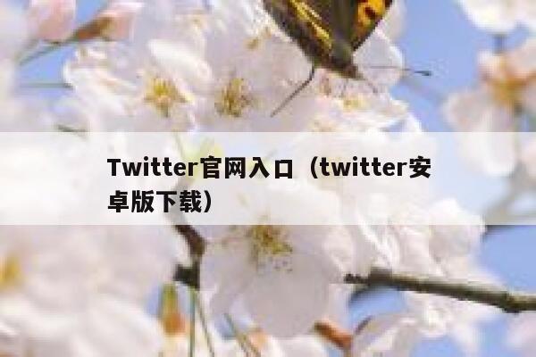 Twitter官网入口（twitter安卓版下载） 第1张