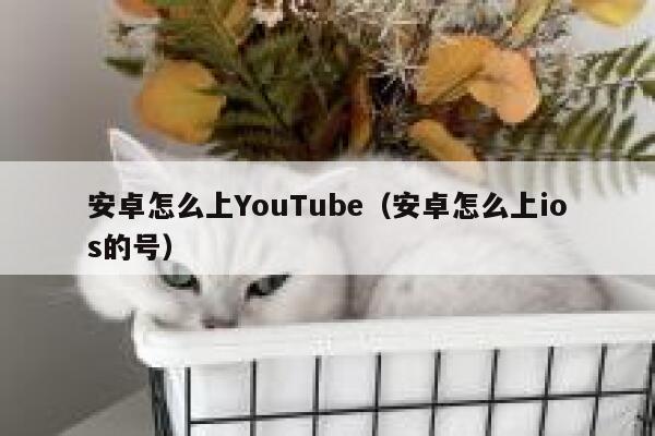 安卓怎么上YouTube（安卓怎么上ios的号） 第1张