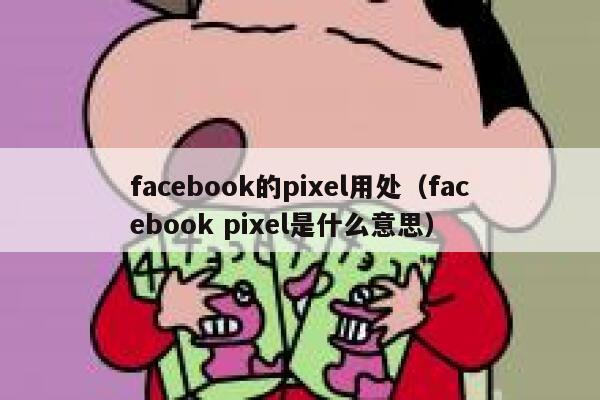 facebook的pixel用处（facebook pixel是什么意思） 第1张