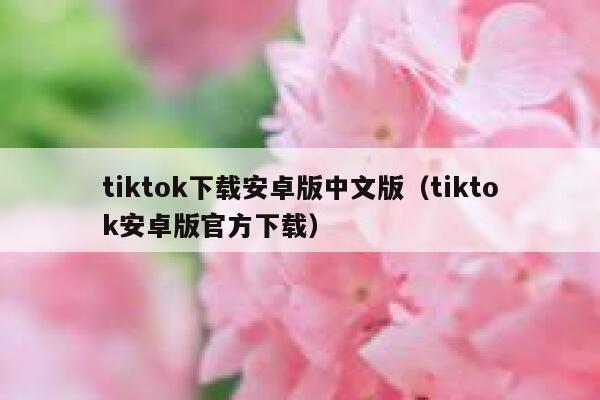 tiktok下载安卓版中文版（tiktok安卓版官方下载） 第1张