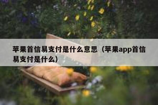 苹果首信易支付是什么意思（苹果app首信易支付是什么） 第1张