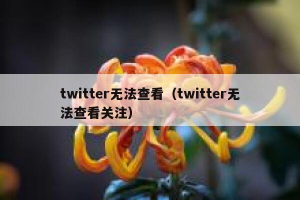 twitter无法查看（twitter无法查看关注） 第1张