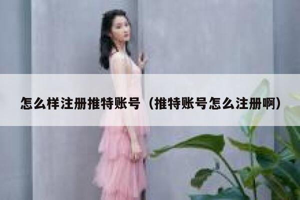 怎么样注册推特账号（推特账号怎么注册啊） 第1张