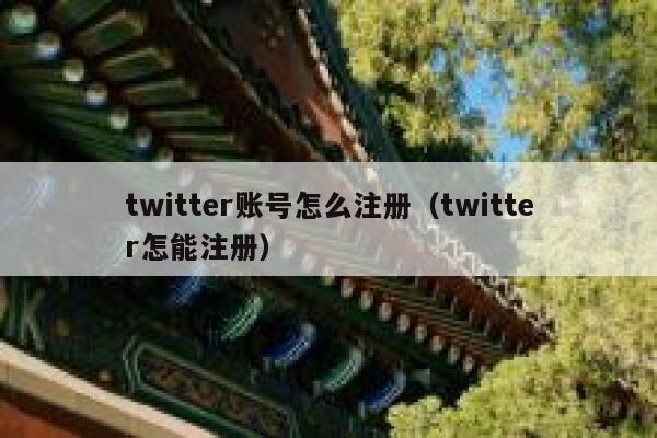 twitter账号怎么注册（twitter怎能注册） 第1张