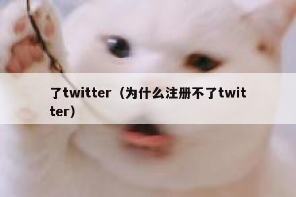 了twitter（为什么注册不了twitter） 第1张