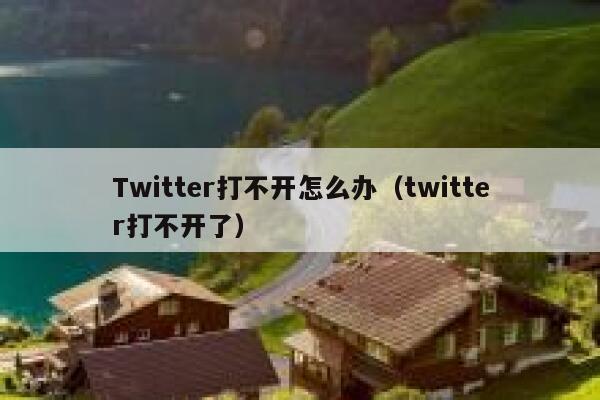 Twitter打不开怎么办（twitter打不开了） 第1张